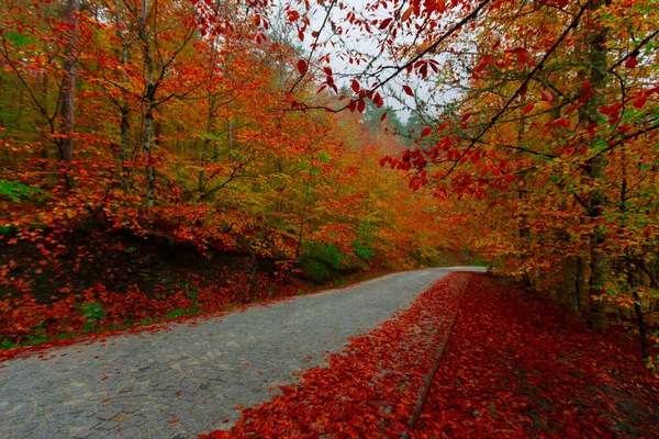 Yedigller National Park Located Black Sea Region North Bolu South — Stock Photo, Image