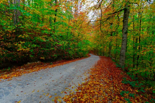 Národní Park Yedigller Nachází Oblasti Černého Moře Severu Bolu Jihu — Stock fotografie