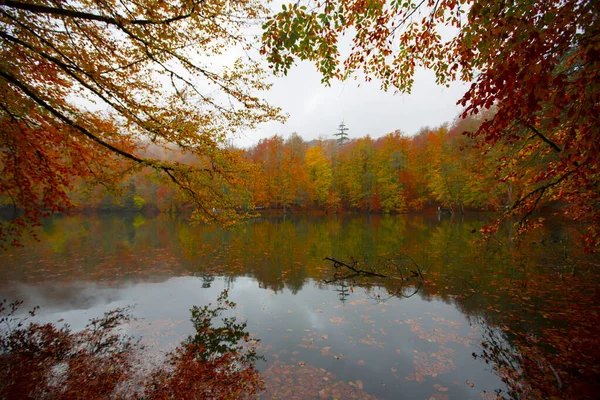 Yedigller National Park Está Localizado Região Mar Negro Norte Bolu — Fotografia de Stock