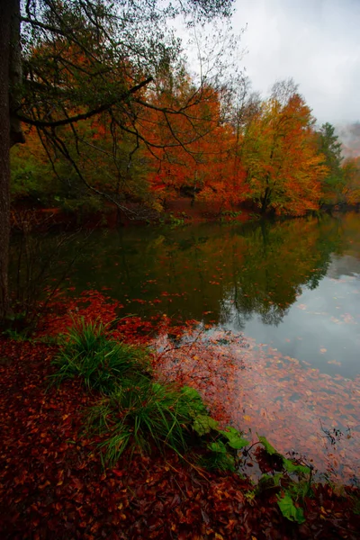 Yedigller National Park Está Localizado Região Mar Negro Norte Bolu — Fotografia de Stock