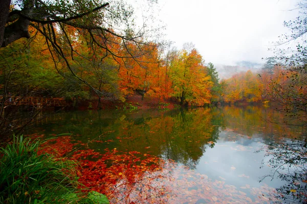 Yedigller Milli Parkı Bolu 'nun kuzeyinde, Zonguldak' ın güneyinde, Dzce 'nin güneyinde, Dzce' nin doğusunda yer almaktadır..