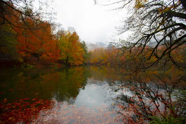 Der Yedigller Nationalpark Liegt Der Schwarzmeerregion Norden Von Bolu Süden — Stockfoto