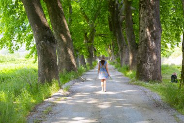 Bursa / Lipsli Köyünün oksijen koridoru