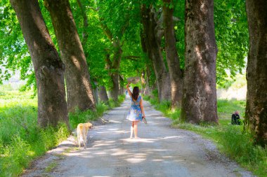 Bursa / Lipsli Köyünün oksijen koridoru