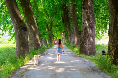 Bursa / Lipsli Köyünün oksijen koridoru