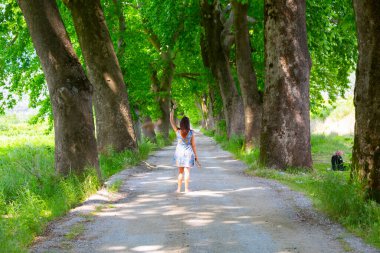 Bursa / Lipsli Köyünün oksijen koridoru