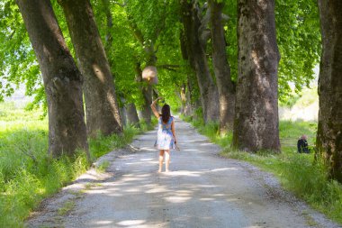 Bursa / Lipsli Köyünün oksijen koridoru