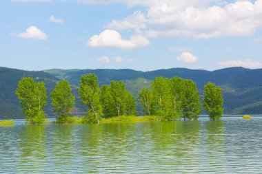 Bursa / Lipsli Köyünün oksijen koridoru