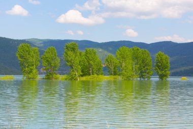 Bursa / Lipsli Köyünün oksijen koridoru