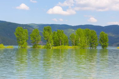 Bursa / Lipsli Köyünün oksijen koridoru