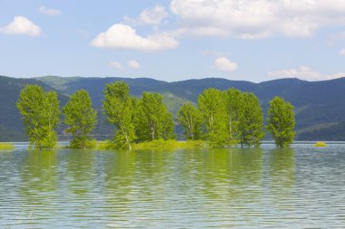 Bursa / Lipsli Köyünün oksijen koridoru