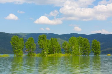 Bursa / Lipsli Köyünün oksijen koridoru