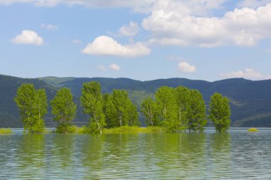 Bursa / Lipsli Köyünün oksijen koridoru