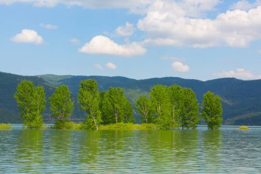 Bursa / Lipsli Köyünün oksijen koridoru