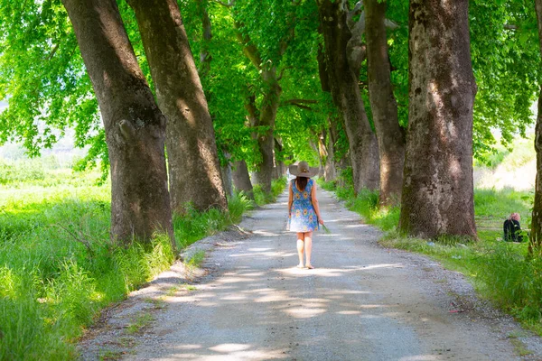 Bursa / Lipsli Köyünün oksijen koridoru