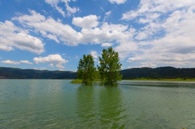 Bursa / Lipsli Köyünün oksijen koridoru