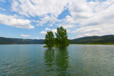 Bursa / Lipsli Köyünün oksijen koridoru