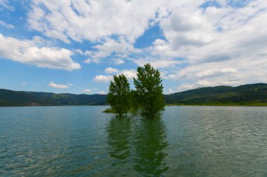 Bursa / Lipsli Köyünün oksijen koridoru