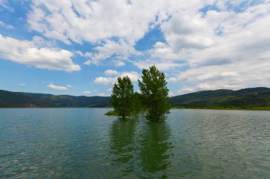 Bursa / Lipsli Köyünün oksijen koridoru
