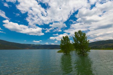 Bursa / Lipsli Köyünün oksijen koridoru