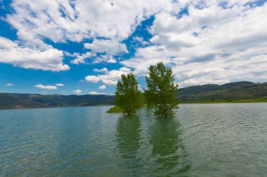 Bursa / Lipsli Köyünün oksijen koridoru