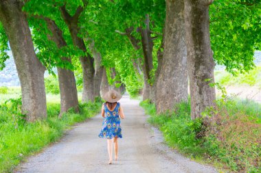 Bursa / Lipsli Köyünün oksijen koridoru