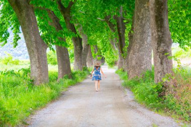 Bursa / Lipsli Köyünün oksijen koridoru