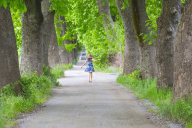 Bursa / Lipsli Köyünün oksijen koridoru