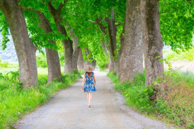 Bursa / Lipsli Köyünün oksijen koridoru