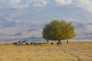 Sultan Bataklığı Koruma Alanı, Kayseri 'nin Merkez Anadolu Bölgesi' nde Develi ve Yeilhisar ilçelerinin sınırları içindedir..