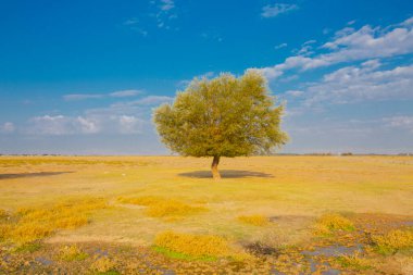 Sultan Bataklığı Koruma Alanı, Kayseri 'nin Merkez Anadolu Bölgesi' nde Develi ve Yeilhisar ilçelerinin sınırları içindedir..