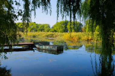 Sultan Bataklığı Koruma Alanı, Kayseri 'nin Merkez Anadolu Bölgesi' nde Develi ve Yeilhisar ilçelerinin sınırları içindedir..