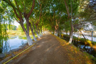 Sultan Bataklığı Koruma Alanı, Kayseri 'nin Merkez Anadolu Bölgesi' nde Develi ve Yeilhisar ilçelerinin sınırları içindedir..