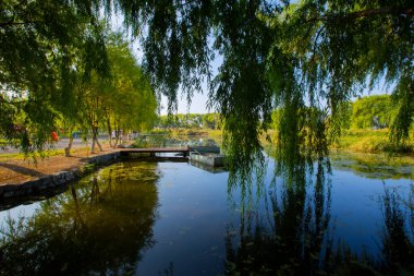 Sultan Bataklığı Koruma Alanı, Kayseri 'nin Merkez Anadolu Bölgesi' nde Develi ve Yeilhisar ilçelerinin sınırları içindedir..