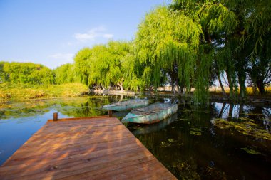 Sultan Bataklığı Koruma Alanı, Kayseri 'nin Merkez Anadolu Bölgesi' nde Develi ve Yeilhisar ilçelerinin sınırları içindedir..