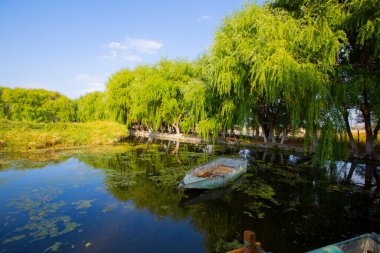 Sultan Bataklığı Koruma Alanı, Kayseri 'nin Merkez Anadolu Bölgesi' nde Develi ve Yeilhisar ilçelerinin sınırları içindedir..