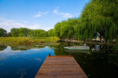 Sultan Bataklığı Koruma Alanı, Kayseri 'nin Merkez Anadolu Bölgesi' nde Develi ve Yeilhisar ilçelerinin sınırları içindedir..
