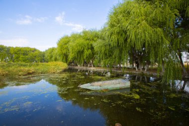 Sultan Bataklığı Koruma Alanı, Kayseri 'nin Merkez Anadolu Bölgesi' nde Develi ve Yeilhisar ilçelerinin sınırları içindedir..
