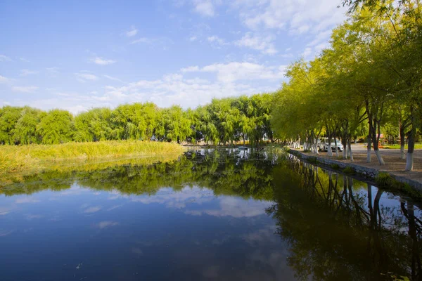 Sultan Marshes Protection Area Liegt Innerhalb Der Grenzen Der Distrikte — Stockfoto