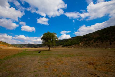 Kayseri Erciyes dağı ve yol manzarası