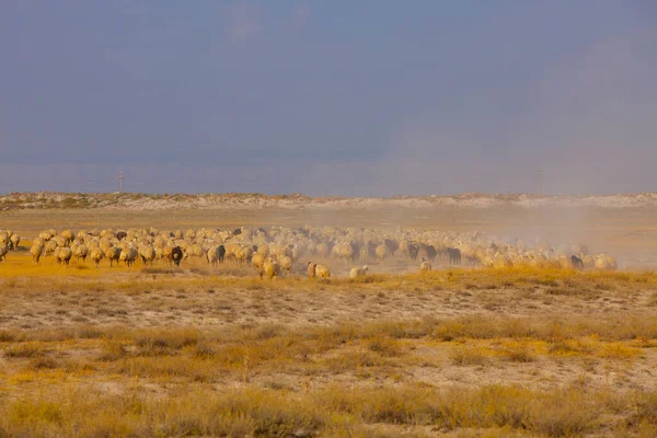 Kayseri Erciyes Berg Und Straße Ansichten — Stockfoto