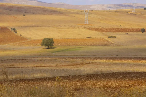 Kayseri Erciyes Widok Góry Drogi — Zdjęcie stockowe