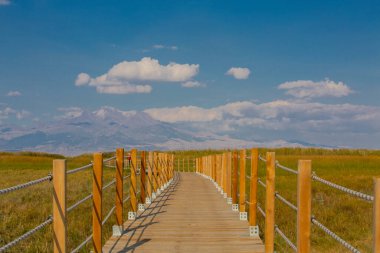 Sultan Bataklıkları, Orta Anadolu Bölgesi Kayseri il sınırları içinde Develi, Yahyal ve Yeilhisar ilçeleri tarafından oluşturulan üçgende yer almaktadır..