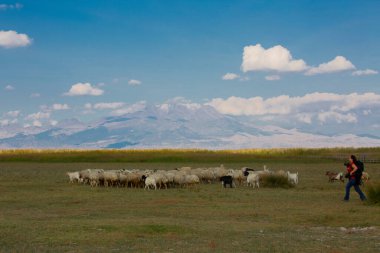 Sultan Bataklıkları, Orta Anadolu Bölgesi Kayseri il sınırları içinde Develi, Yahyal ve Yeilhisar ilçeleri tarafından oluşturulan üçgende yer almaktadır..