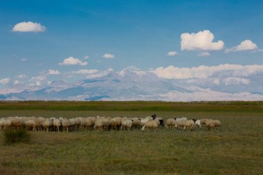 Sultan Bataklıkları, Orta Anadolu Bölgesi Kayseri il sınırları içinde Develi, Yahyal ve Yeilhisar ilçeleri tarafından oluşturulan üçgende yer almaktadır..