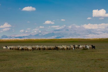 Sultan Bataklıkları, Orta Anadolu Bölgesi Kayseri il sınırları içinde Develi, Yahyal ve Yeilhisar ilçeleri tarafından oluşturulan üçgende yer almaktadır..