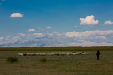 Sultan Bataklıkları, Orta Anadolu Bölgesi Kayseri il sınırları içinde Develi, Yahyal ve Yeilhisar ilçeleri tarafından oluşturulan üçgende yer almaktadır..
