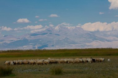 Sultan Bataklıkları, Orta Anadolu Bölgesi Kayseri il sınırları içinde Develi, Yahyal ve Yeilhisar ilçeleri tarafından oluşturulan üçgende yer almaktadır..