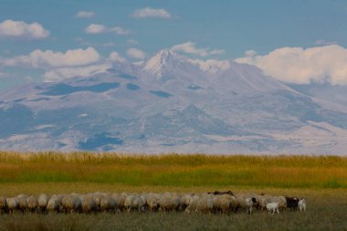 Sultan Bataklıkları, Orta Anadolu Bölgesi Kayseri il sınırları içinde Develi, Yahyal ve Yeilhisar ilçeleri tarafından oluşturulan üçgende yer almaktadır..