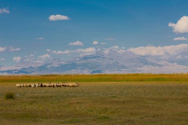 Sultan Bataklıkları, Orta Anadolu Bölgesi Kayseri il sınırları içinde Develi, Yahyal ve Yeilhisar ilçeleri tarafından oluşturulan üçgende yer almaktadır..